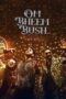Om Bheem Bush (2024)